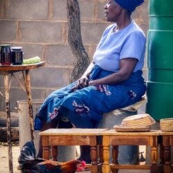 Femme africaine assise avec un coq dans le paysage
