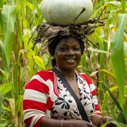 Femme africaine dans champs de maïs avec une citrouille verte sur la tête - Pour la bonne cause